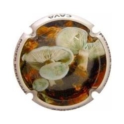 ROGER BERTRAND--V.22209--X.78016