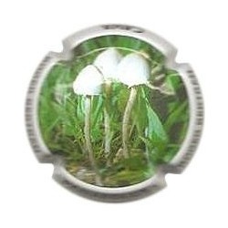 ROGER BERTRAND--V.22211--X.79540