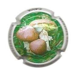 ROGER BERTRAND--V.22210--X.79541