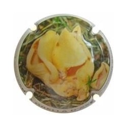 ROGER BERTRAND--V.22212--X.80701