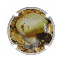 ROGER BERTRAND--V.22216--X.80803