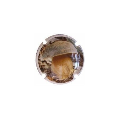 ROGER BERTRAND--V.22215--X.80805