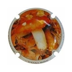 ROGER BERTRAND--V.22223--X.80807