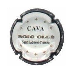 ROIG OLLE-V.0882--X.01040