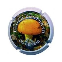 ROGER BERTRAND--V.23536--X.85629