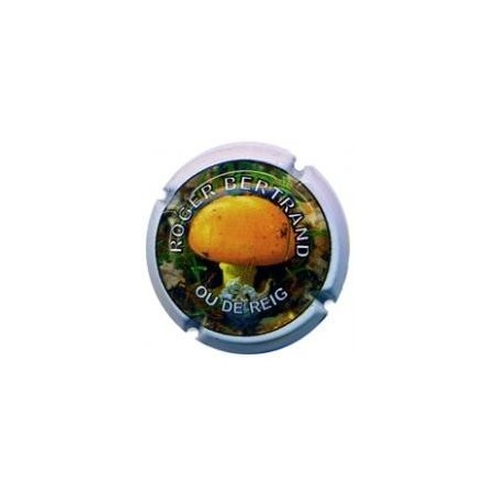 ROGER BERTRAND--V.23536--X.85629