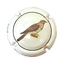 CAL LLUSIA--V.16612--X.54883