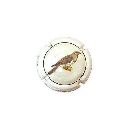 CAL LLUSIA--V.16612--X.54883