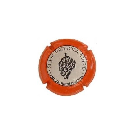 SILVIA PEDROLA-V.3415--X.09766