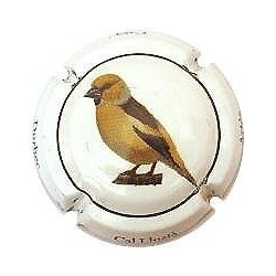 CAL LLUSIA--V.16614--X.54881