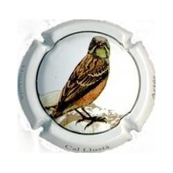 CAL LLUSIA--V.18346--X.63301