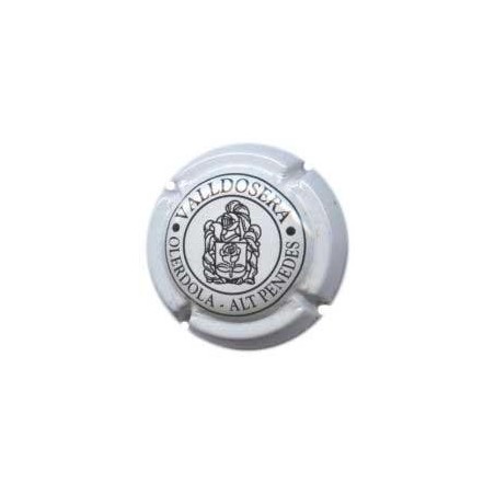 VALLDOSERA-V.1364--X.01919