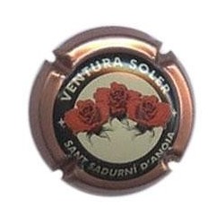 VENTURA SOLER-V.3115--X.01405