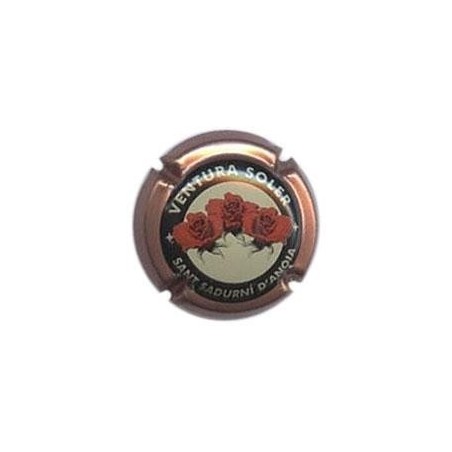 VENTURA SOLER-V.3115--X.01405