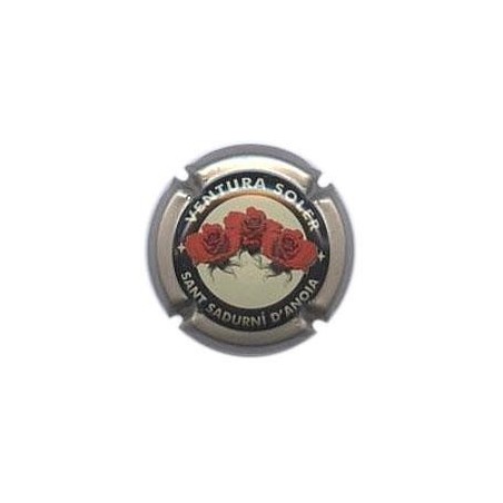 VENTURA SOLER-V.3113--X.01402