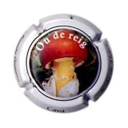 FUCHS DE VIDAL-V.9925-X.31811