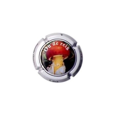 FUCHS DE VIDAL-V.9925-X.31811