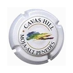 CAVAS HILL-V.3442--X.01072