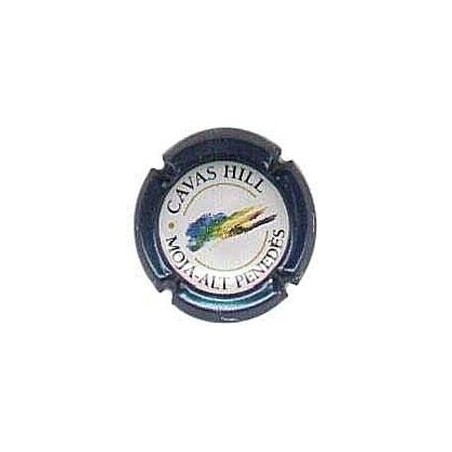 CAVAS HILL-V.2488--X.00344