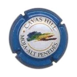 CAVAS HILL-V.6793--X.19462