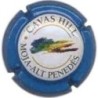 CAVAS HILL-V.6793--X.19462