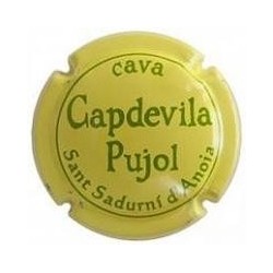 CAPDEVILA PUJOL--V.10298--X.12799