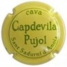 CAPDEVILA PUJOL--V.10298--X.12799