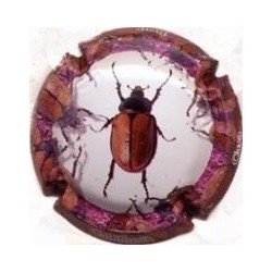 CAL LLUSIA--V.17727-X.58671