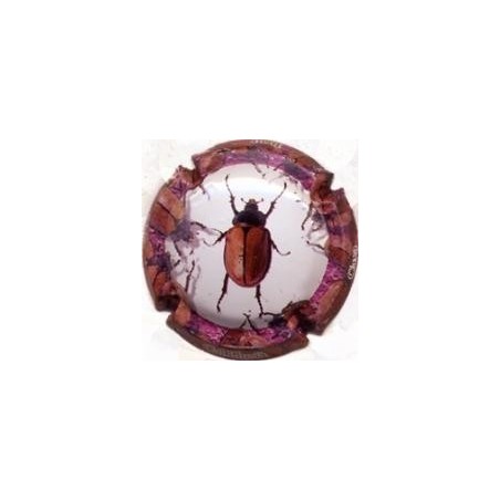 CAL LLUSIA--V.17727-X.58671