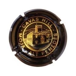 CAVAS HILL-V.0365--X.01071