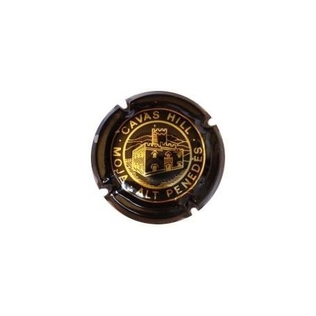 CAVAS HILL-V.0365--X.01071