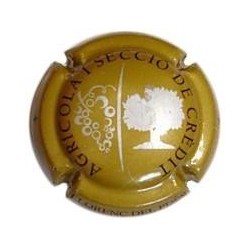 COOP.LLORENÇ PEDS-V.3919