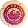 CODORNIU-V.3623-X.00787