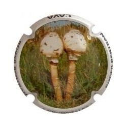 ROGER BERTRAND--X.95041