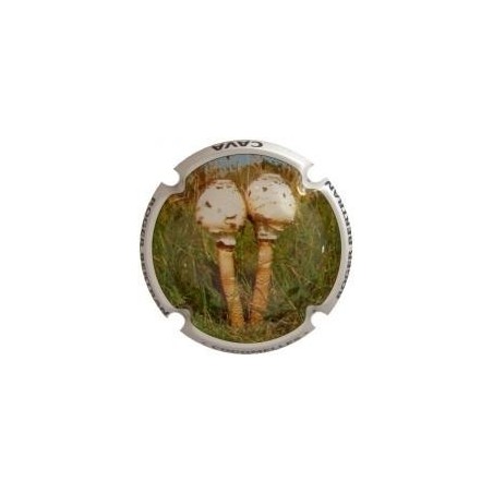 ROGER BERTRAND--X.95041