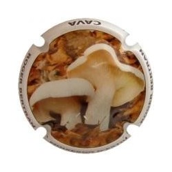 ROGER BERTRAND--X.95040