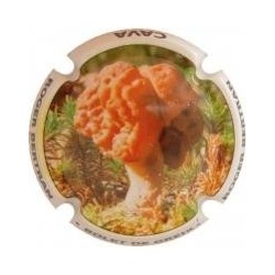 ROGER BERTRAND--X.95039