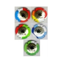 GRAMONA-  JGO 5 PLC. 