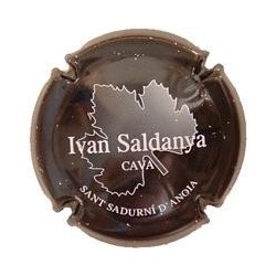 IVAN SALDANYA-V.4554-X.09779