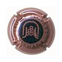 JAUME LLOPART-V.12270-X.31058