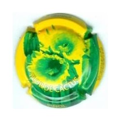 JOAN PIÑOL--V.18585-X.63860