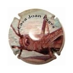 JOAN PIÑOL-V.9941-X.32092