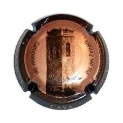 JOAN PIÑOL--V.15732-X.50902