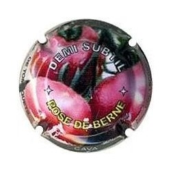 DEMI SUBTIL--X.92996