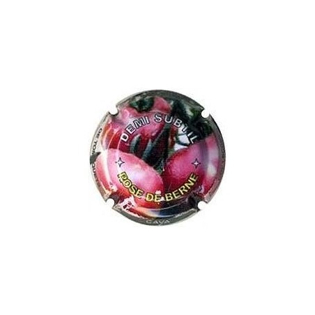 DEMI SUBTIL--X.92996