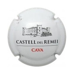 CASTELL DEL REMEI-V.10703-X.39922