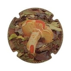 XEPITUS-V.15439-X.44004