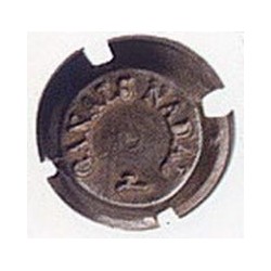 CANALS NADAL-V.-X.05532 MAGNUM