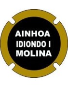 Ainhoa Idiondo i Molina