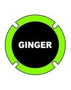 Ginger